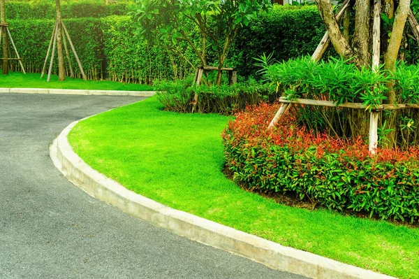 Yeşil Bir Çimenlikteki Ana Cadde Arka Plan Için Bahçe Yaz — Stok fotoğraf