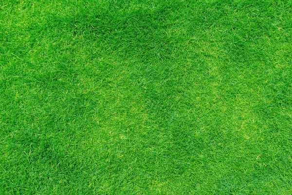 Grünes Gras Textur Hintergrund Top Ansicht Von Grasgarten Ideales Konzept — Stockfoto