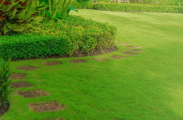 Pathway Tuin Met Groene Gazons Tuin Landschap Met Struiken Uitzicht — Stockfoto