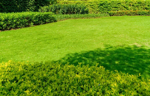 Arka plan için peyzaj tasarımı, Huzurlu Bahçe, Yeşil Bahçe ve çimen, Yeşil çimen, Arka plan için ön bahçe, Süslü bahçenin güzelliği, Yeni kesilmiş çimen Sabah güneşi ile yemyeşil.