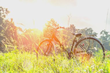 Geniş bir alana park etmiş bir bisikletin resmini bulanıklaştırdım. Retro konsept, gün batımında bisikletle güzel bir manzara. Klasik ışıklandırma efektleri. Park halindeki bisiklet arka plan için bulanık.