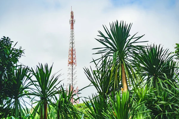 Telekommunikációs Torony Kék Égbolttal Távközlési Antenna Torony Reggel Egy Nagy — Stock Fotó