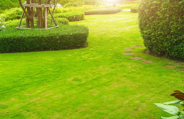 Weiße Gehwegplatte Garten Grünes Gras Mit Zementpfad Kontrast Den Leuchtend — Stockfoto