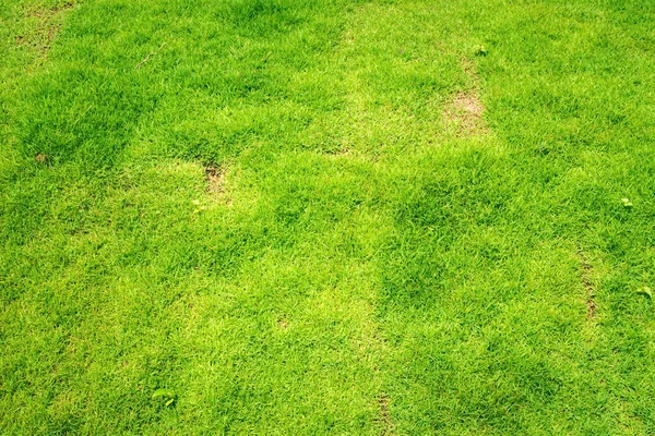 Herbe Parcours Golf Vert Motif Pelouse Fond Texturé Green Grass — Photo