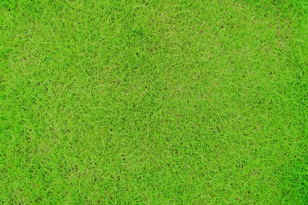 Grünes Gras Textur Hintergrund Top Ansicht Von Grasgarten Ideales Konzept — Stockfoto