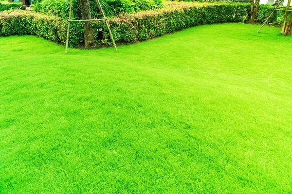 Landschaftsgestaltung Friedlicher Garten Grüner Garten Und Rasen Grüner Rasen Der — Stockfoto