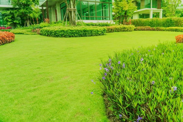 Haus Park Grüner Rasen Blumen Garten Grünes Gras Modernes Haus — Stockfoto