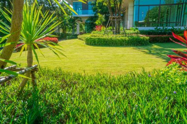 Parktaki ev, yeşil çimen, ön bahçe güzel tasarlanmış bahçe, bahçedeki çiçekler, yeşil çimenler, manzaralı ön bahçeli modern ev, çimen ve bahçe bulanık arka plan..