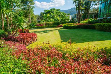Yeşil çimenler, arka plan için ön bahçe tasarımı, güzel gölgeli manzara, bahçeli ev, yeni biçilmiş çimenli bahçe.