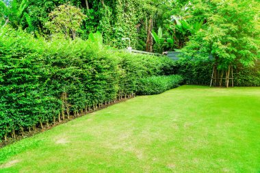 Arka plan için ön bahçe çimenliği, çimlerin üzerinde ağaçların gölgesi olan yeşil çimen ve bahçe deseni olan patika..