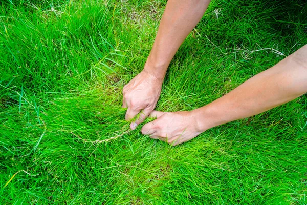 Tangan Atas Menarik Rumput Untuk Melampiaskan Kemarahan Tangan Atas Rumput — Stok Foto