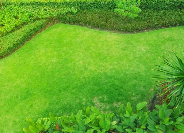 Top View Green Lawns Green Lawns Shrubs Lawn Nature Green — Stock Photo, Image
