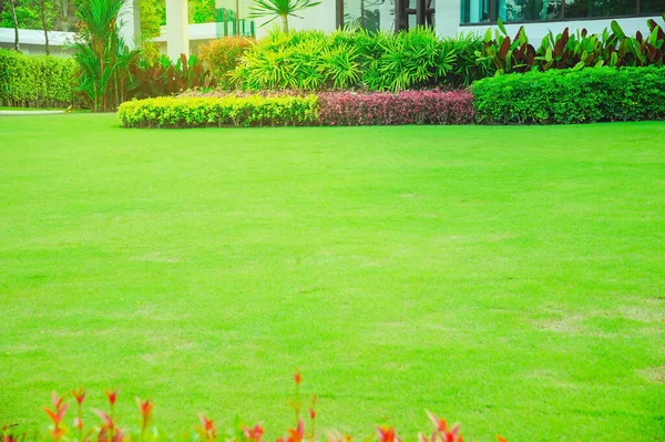 现代住宅具有漂亮的园林绿化前院 草坪花园 绿地草坪 园林绿化形式 前院是设计精美的花园 — 图库照片