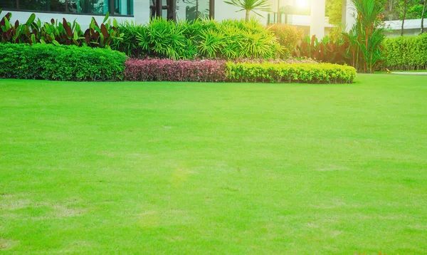 Современный Дом Красивым Ландшафтным Палисадником Lawn Garden Green Lawn Landscape — стоковое фото