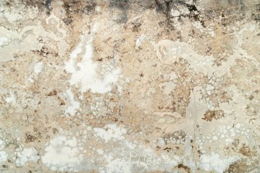 Eski beton zeminin üst manzarası, taşın üzerindeki liken çalılıkları, eski çatlak duvar.