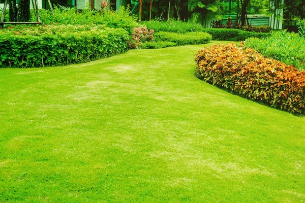 Groene Gazons Voortuin Voor Achtergrond Tuinontwerp Mooi Schaduwrijk Landschap Tuin — Stockfoto