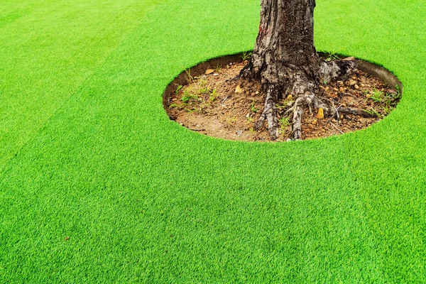 Green artificial turf, leaving space for trees., Green artificial turf surrounded the tree.