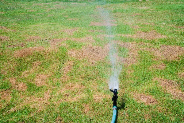 Watering the Lawn with Sprinkler, spraying clean water stream plastic sprinkler on the grass lawn. sprinkler splash water over the grass field to the water, Lawn irrigation system on a green lawn.