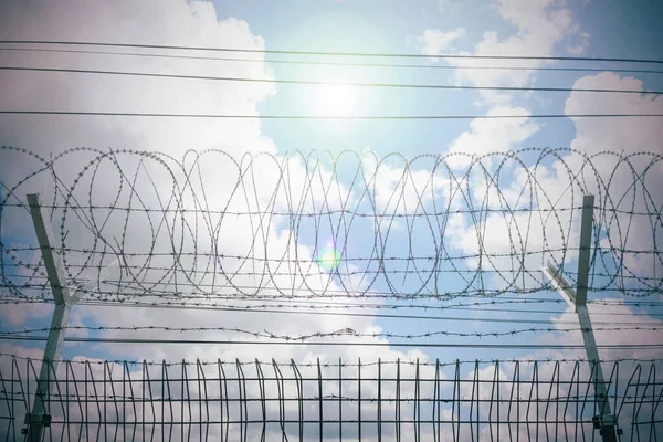 Barbed Wire Sky Sun Barbed Wire Bottom View Morning Sun — Stock Photo, Image