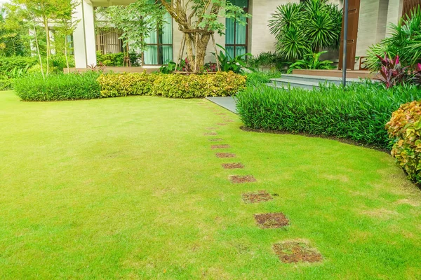 Caminhos Com Gramados Verdes Paisagismo Jardim Passarela Curva Campo Grama — Fotografia de Stock