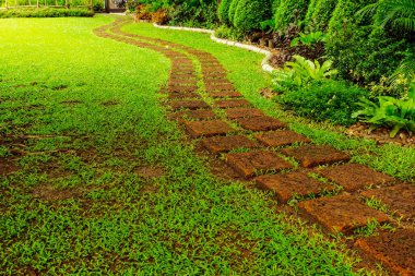 Laterite 'in halk parkındaki yeşil çimlerin arka bahçesindeki basamak şablonu, Laterite' in eğri kaldırım şablonu halka açık parktaki yeşil çimenler, arka plandaki ağaçlar....