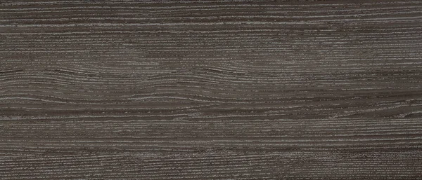 Schwarzeichenholz Holz Textur Schwarz Und Weiß — Stockfoto