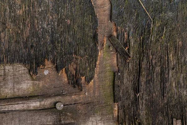 Plywood Textur Med Knutar Mörkbrun Sprucken Yta — Stockfoto