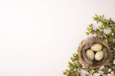 Bir kuş yuvası içinde üç yumurta bulunan hafif bir yüzeyde oturur. Yuvayı çevreleyen yeşil dallar ve küçük çiçekler. Bu sahne baharın ve yeni başlangıçların özünü yakalar..