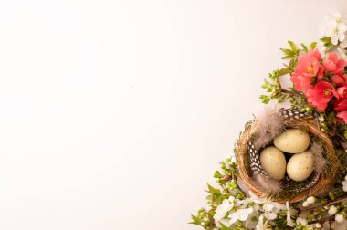 Bir kuş yuvası içinde üç benekli yumurta bulunan bir yüzeyde oturur. Yuvanın etrafında renkli çiçekler ve yeşil yapraklar vardır. Sahne baharı gösteriyor Taze çiçekler ve yeni bir hayat.