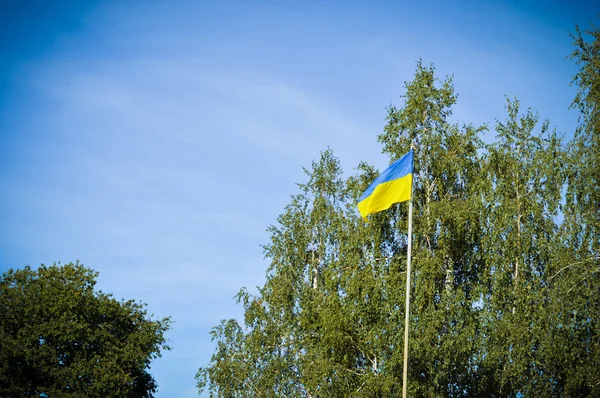 Ukrainische Flagge — Stockfoto