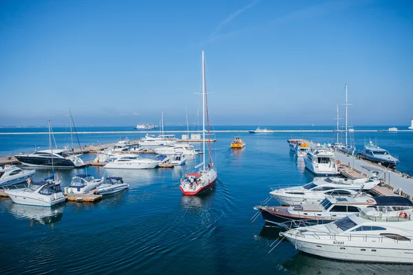 Odesa bağlantı noktası