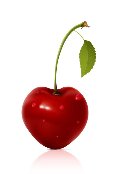 Geïsoleerde cherry met druppels — Stockvector