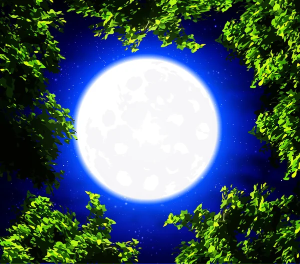 在满月的背景上树 — 图库矢量图片