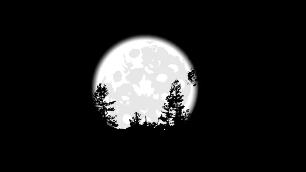 Silhouettes d'arbres sur fond de pleine lune — Image vectorielle