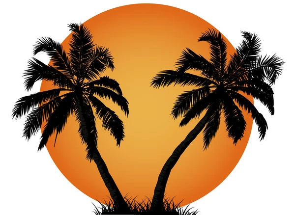 Palmera contra atardecer de verano — Vector de stock