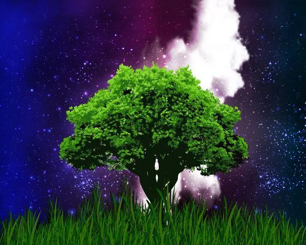 Ein Baum auf dem Hintergrund des Sternenhimmels — Stockvektor