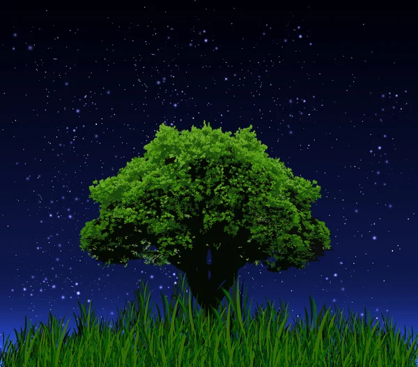 Arbre solitaire sur un fond de ciel nocturne — Image vectorielle