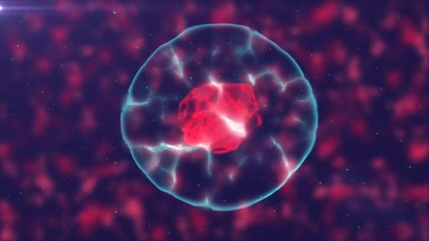 Division cellulaire n 