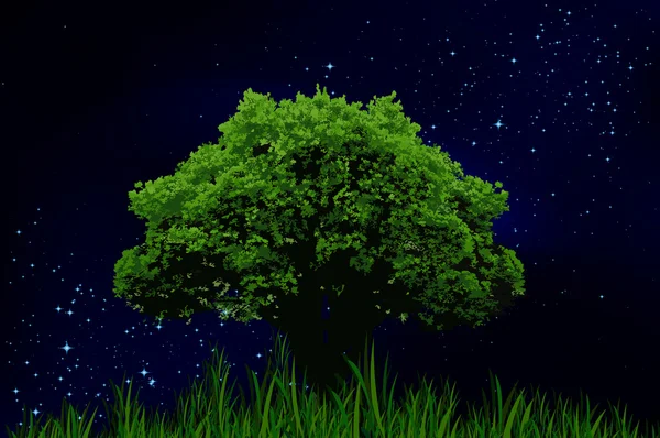 별이 빛나는 밤 하늘 및 외로운 나무 — 스톡 벡터