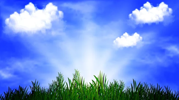Трава на фоне солнечного неба — стоковый вектор