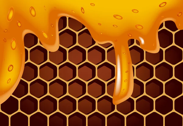 Honey flowing on honeycomb — Stock Vector