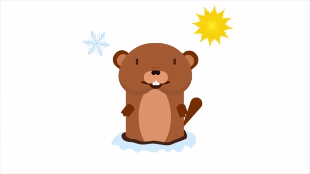 Marmot Przewiduje Pogodę Ilustracja Wideo Sztuki — Wideo stockowe