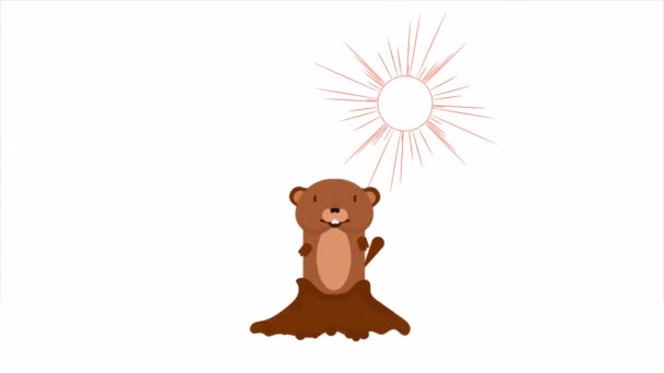 Marmotta Dal Buco Sullo Sfondo Del Sole Illustrazione Video Arte — Video Stock