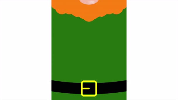 Irish Gnome Patricks Day Banner Art Video Illustration — 비디오