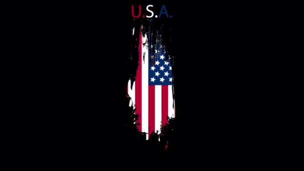 Usa Tag Flagge Grafik Design Kunst Video Illustration — Stockvideo