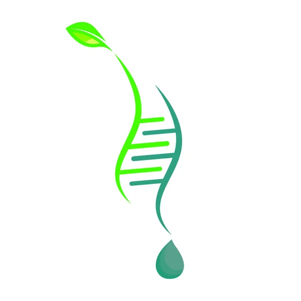 Логотип Екологічна Біотехнологія Днк Лист Крапля Води Векторні Ілюстрації Мистецтва — стоковий вектор