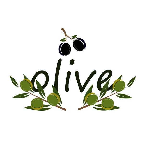 Olives Olives Festival Olives Vector Art Illustration — Stock Vector