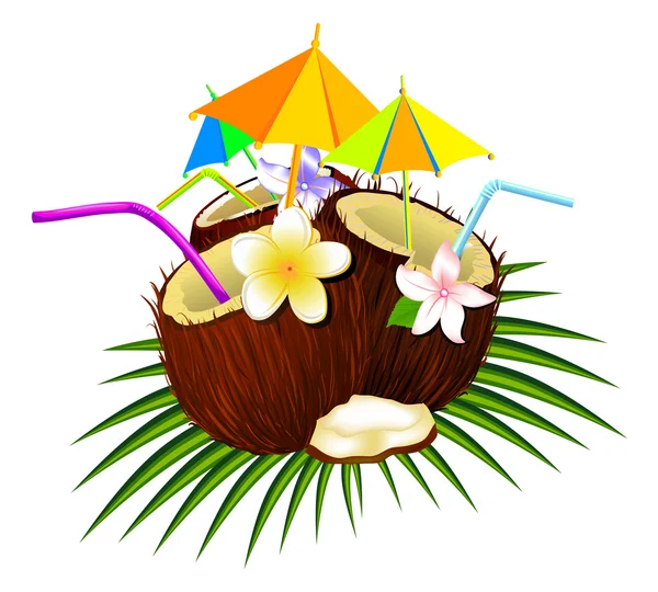 Koktail kelapa - Stok Vektor