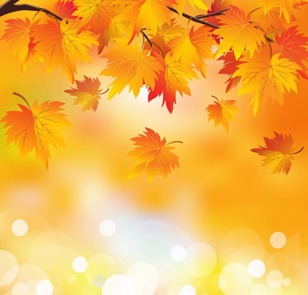 Podzimní větev stromu — Stockový vektor