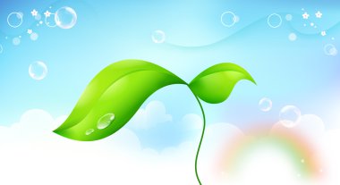 Beanstalk